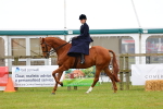 SBM_02740