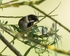 20110425-IMG_5084