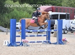 BPP_4447