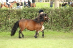SBM_68536