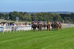 Race 3 2.40pm Christmas Parties R Us Restricted Novice Stakes portfolio