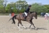 BPP_3339