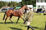 SBM_19288