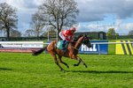 180426-Race 4-Murashah-2405
