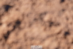 240505A-181142-07532