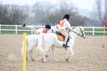 SBM_003750