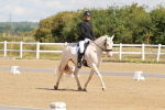SBM_000299