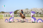SBM_001132