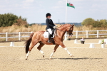SBM_019247