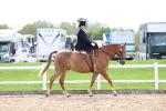 SBM_03292