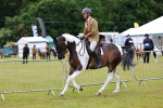SBM_02649