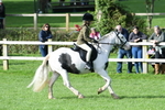 SBM_51939