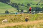 Sedbergh -805