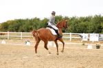 SBM_007408