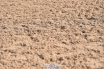 231015A-132924-08321