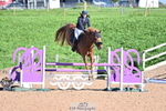 Saturday 14th - Huish Arena portfolio
