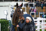 121225-Race 1-Mullaghgloss-4237