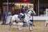 BPP_8179
