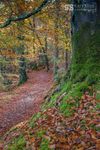 October colour, Torrent Walk, Dolgellau