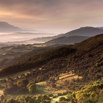 Three County View