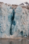 Kongsbreen 8237