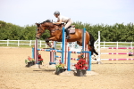 SBM_004348