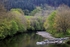 Spring Reflections