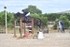 BPP_3505