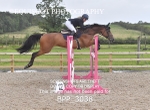 BPP_3038