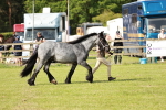 SBM_01573