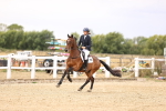 SBM_007428