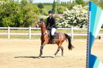 SBM_007055