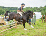 Dunblane show-386