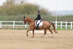 SBM_006768