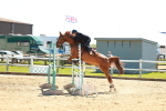 SBM_001275
