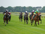 Race 5 16.42pm Download The QuinnBet App Handicap portfolio