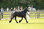 SBM_00698