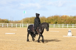 SBM_001072