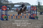 BPP_1113