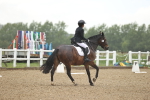 SBM_000955