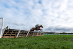 161125-Race 1-Astelia-2903