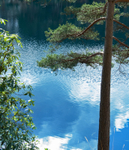 13th March Blue Pool