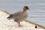 190322-untitled-8E0A3367
