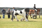 SBM_16123