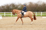 SBM_001614