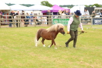 SBM_04449