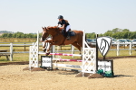 SBM_000966