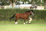 SBM_68531