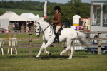 SBM_09675