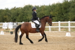 SBM_010595